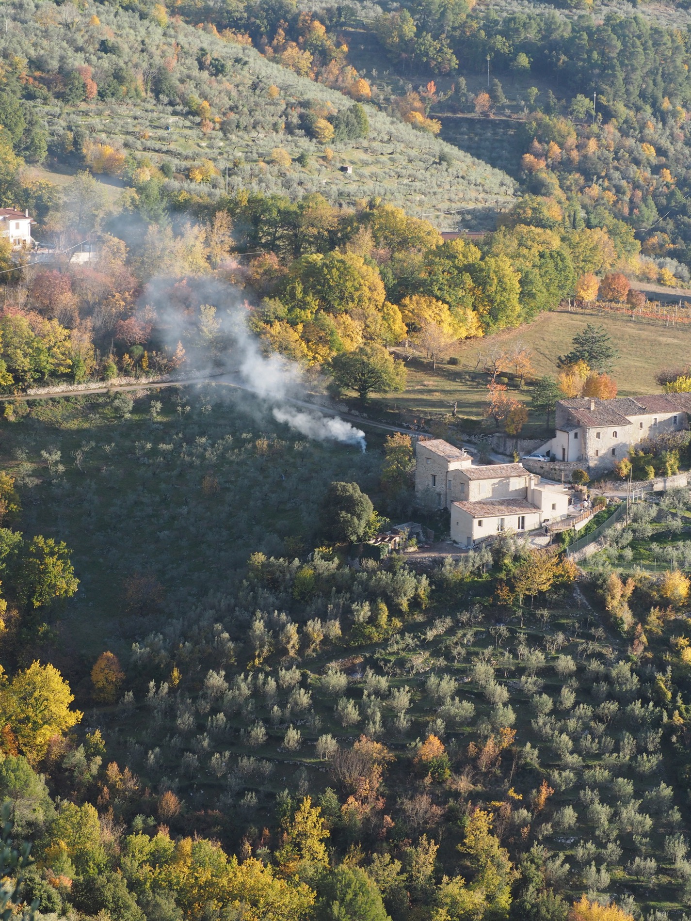 La Fascia olivata Assisi-Spoleto è paesaggio rurale storico